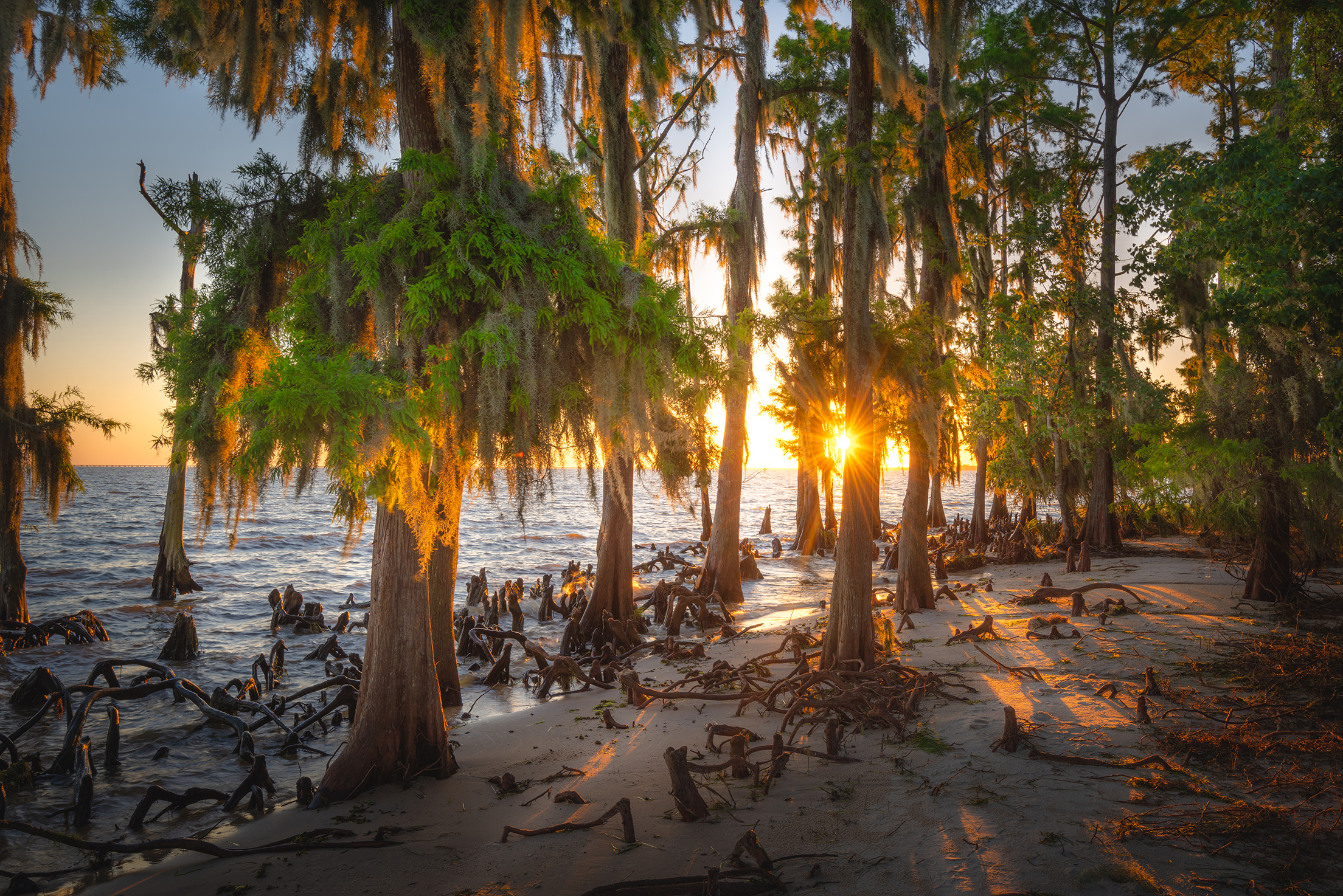 Fontainebleau State Park Louisiana Travel